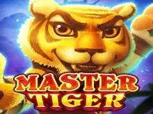 Silverplay Casino screenshot
